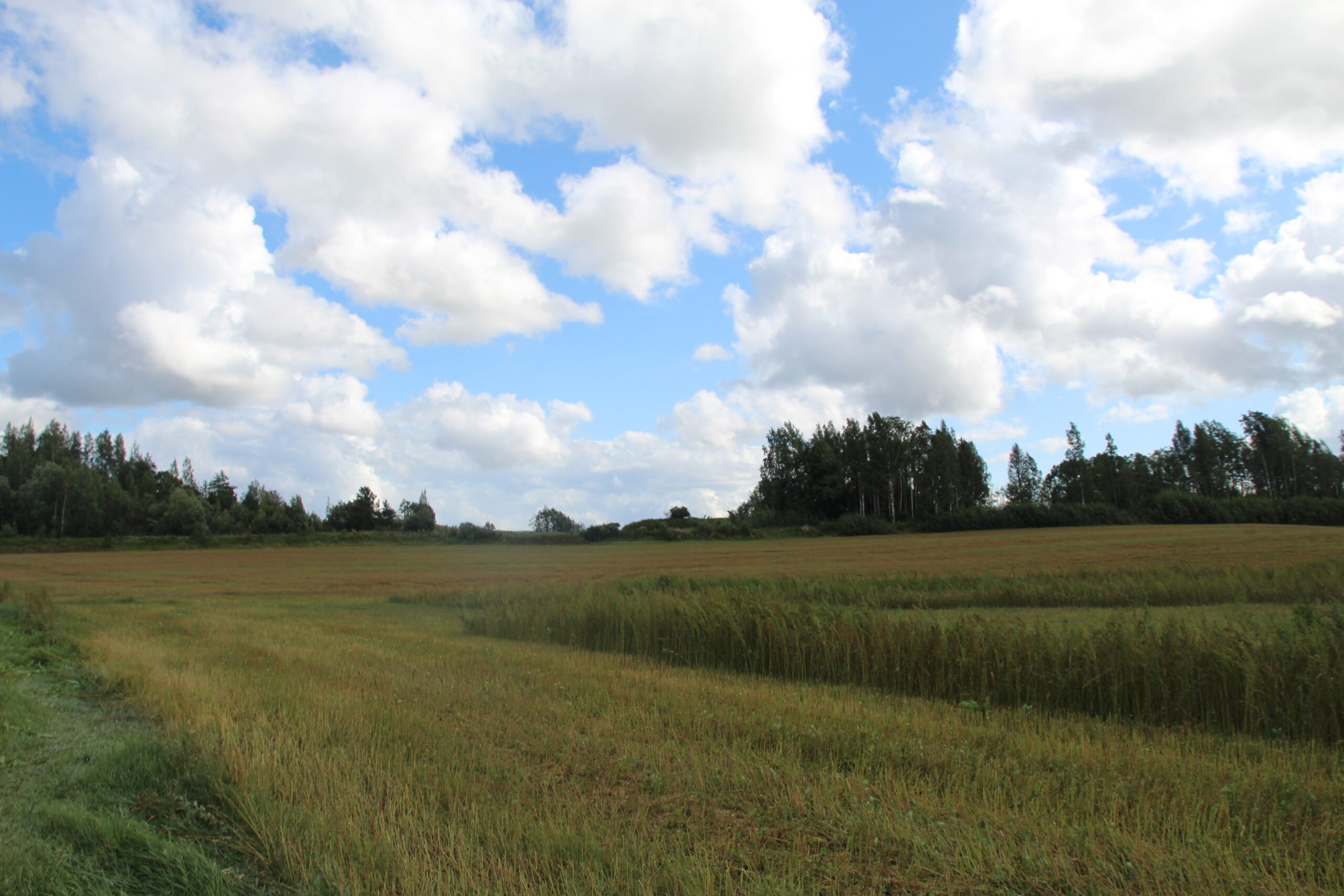 2024.08.10 Sääsküla küla päev (11)