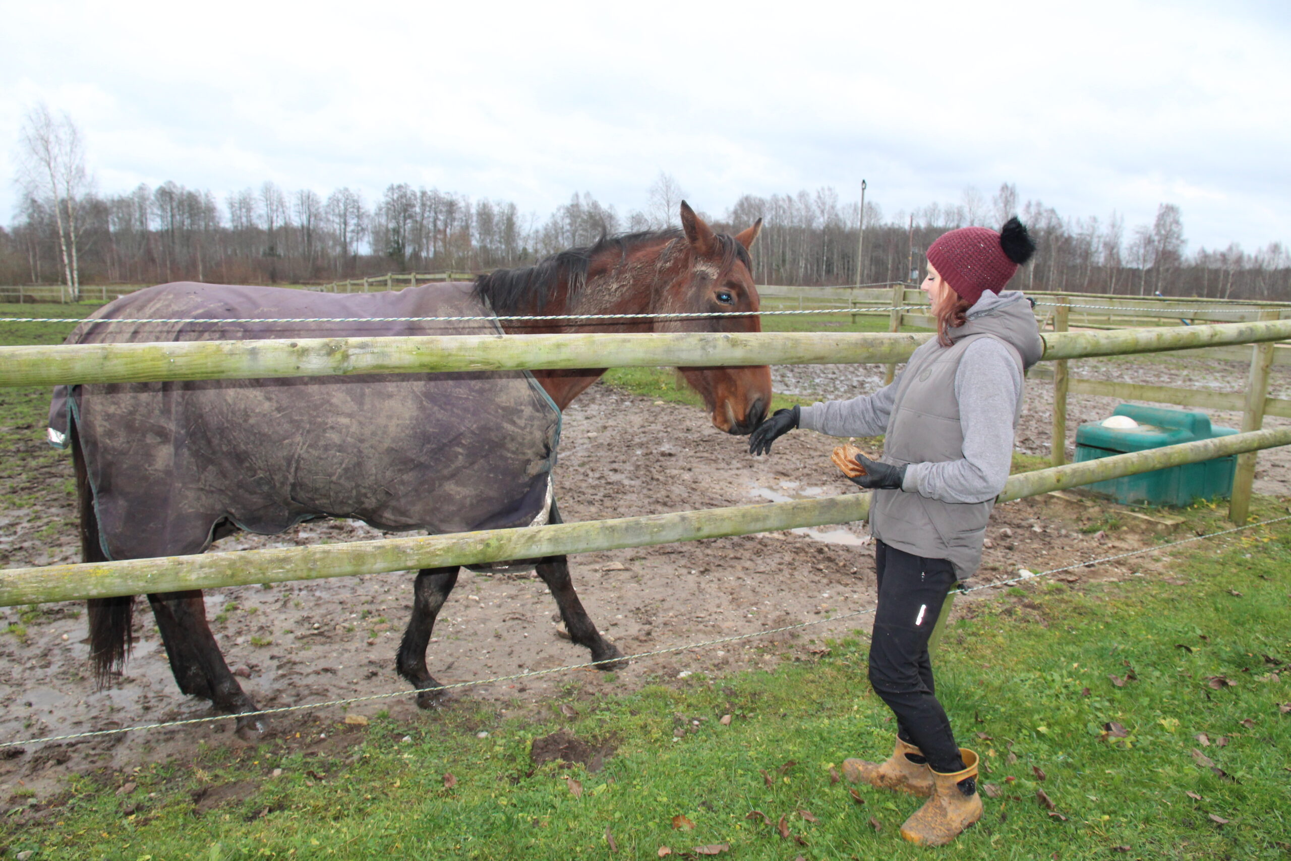 JVL, nov II Kalmesaare talu (1)